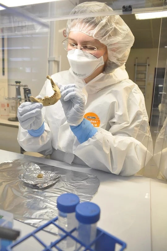 One of the samples the researchers obtained DNA information from