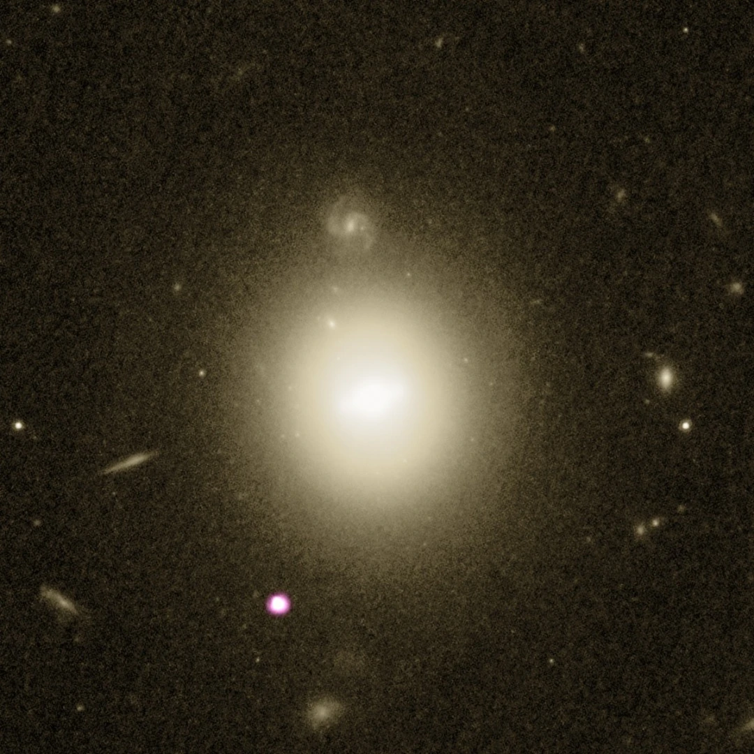 The host galaxy can be seen in the center as the white/yellow light, from Hubble data, while the purple-white spot in the lower section shows the X-ray emissions (thanks to Chandra data) of the intermediate black hole devouring a star