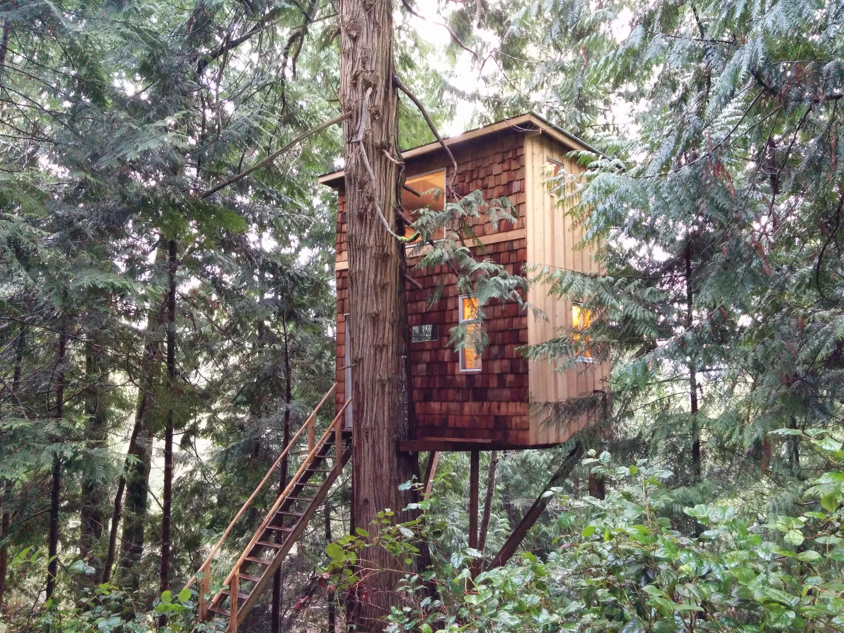 "Walking around, roofing, siding, windows, all had my mind constantly thinking oh God watch out!" says de Ruiter, on building the treehouse (Photo: Geoff de Ruiter)