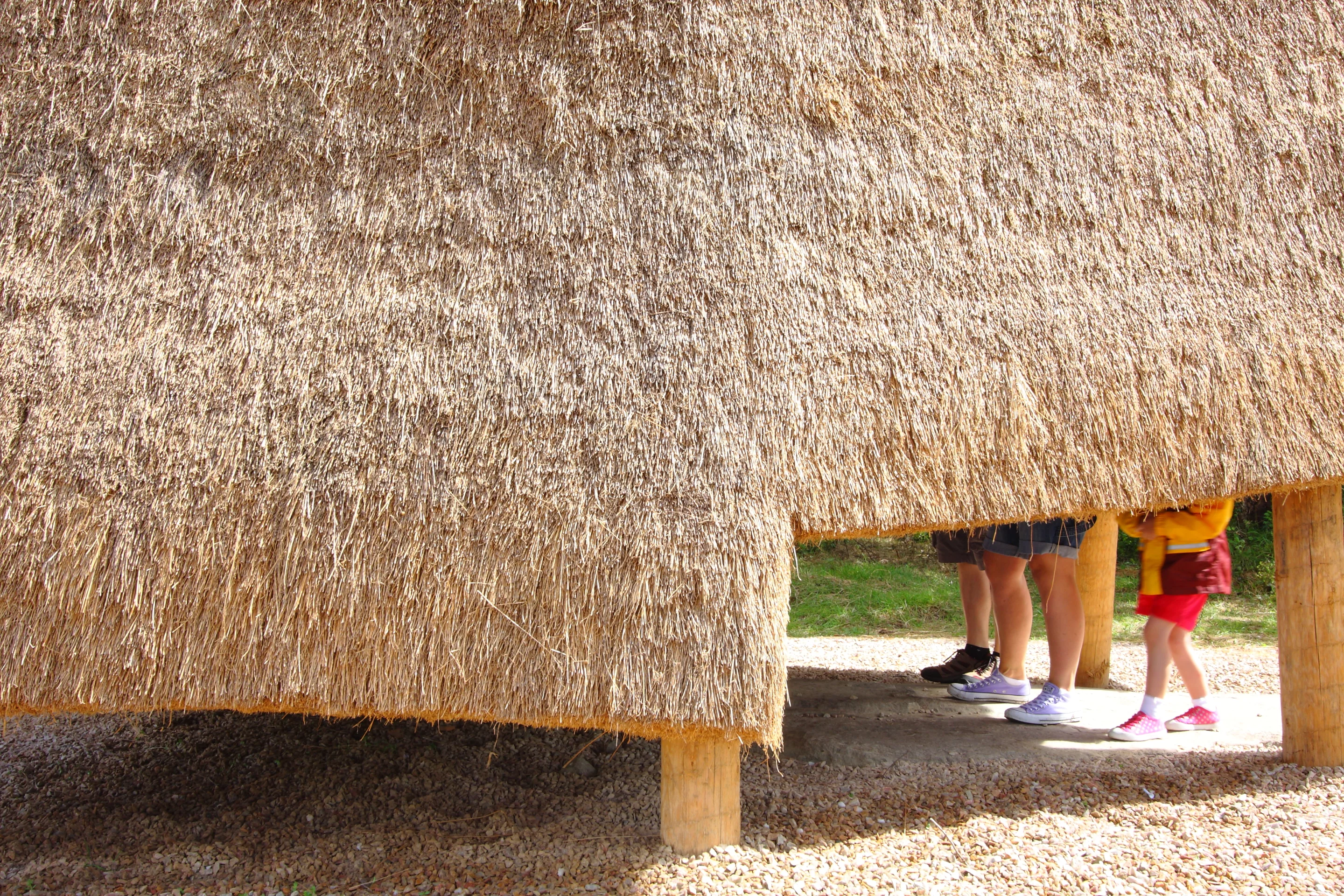 It stands on stilts to be sure that the ground beneath is not unduly disturbed (Photo: Emily Mannion/Thomas O’Brien)