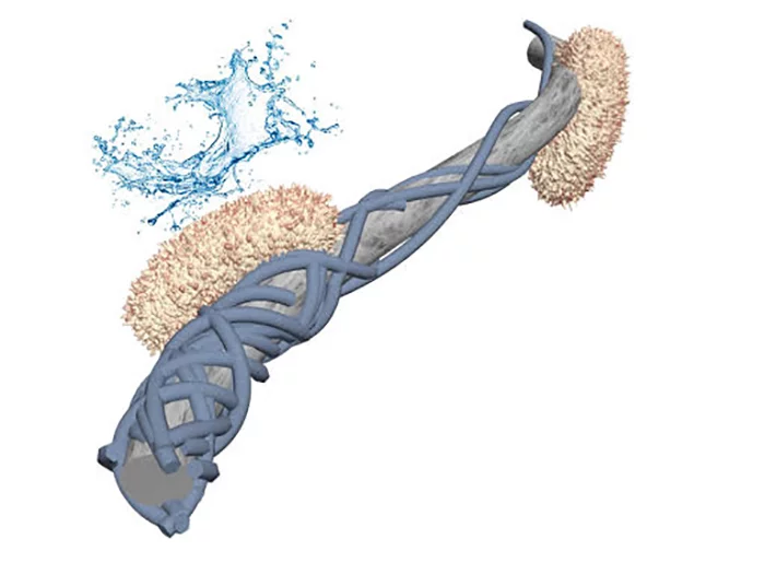 Scientists have developed a battery that is powered by spit