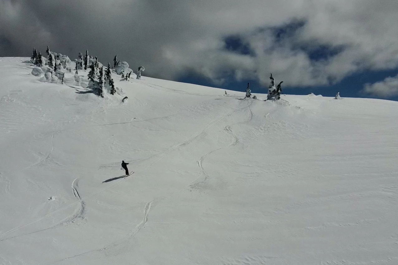 The Zoa PL1 getting put to the test