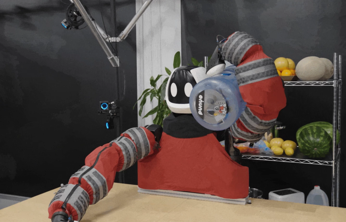 Toyota researchers are training Punyo to handle a number of different large objects, including slinging a water jug up onto its shoulder and holding it steady from above