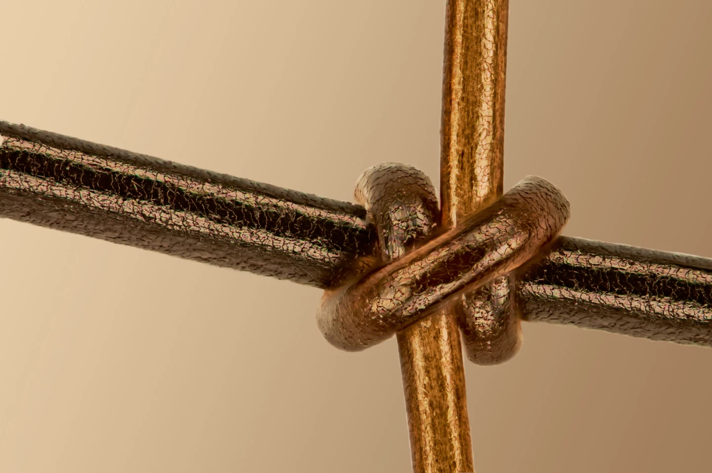 Materials Science Winner: "Connecting All Living Things." Human hair (vertical) knotted onto horsehair (horizontal).