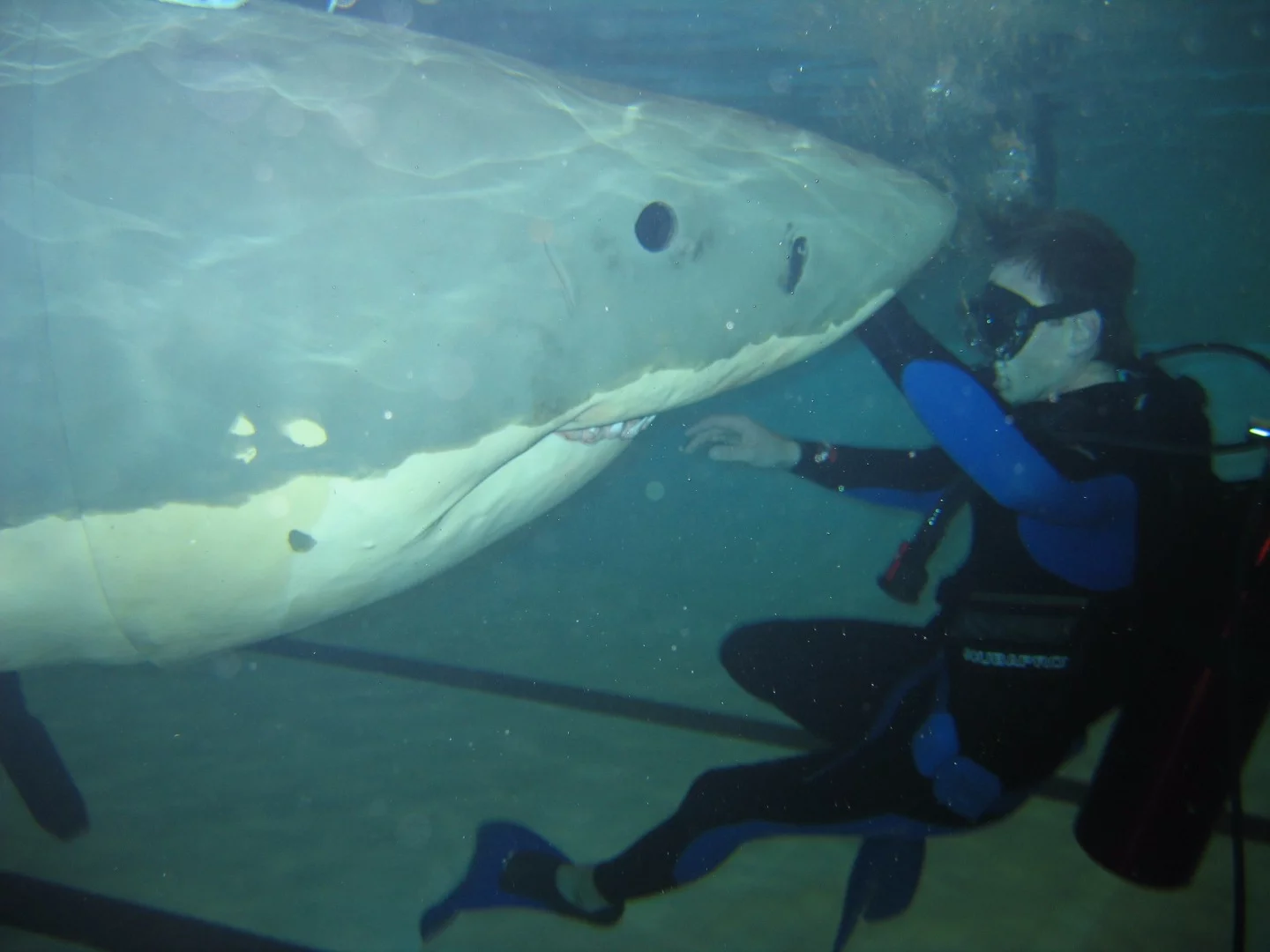 Underwater testing underway