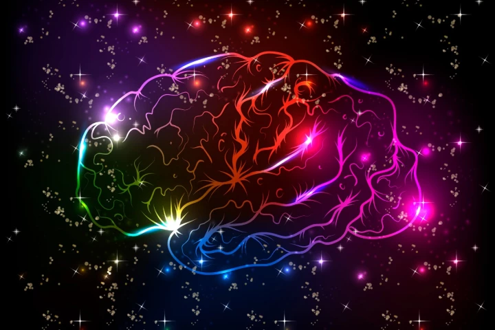 A new study suggests a person's creativity can be identified by examining how connected neural activity in the brain is