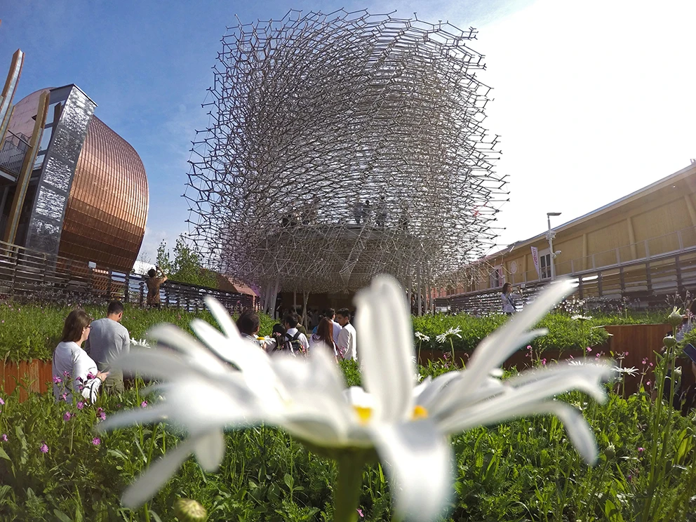 UK's path of the bee travels from an orchid to a flowery meadow and then returning to its hive, all accompanied by sounds and visuals recorded in a real hive in the UK
