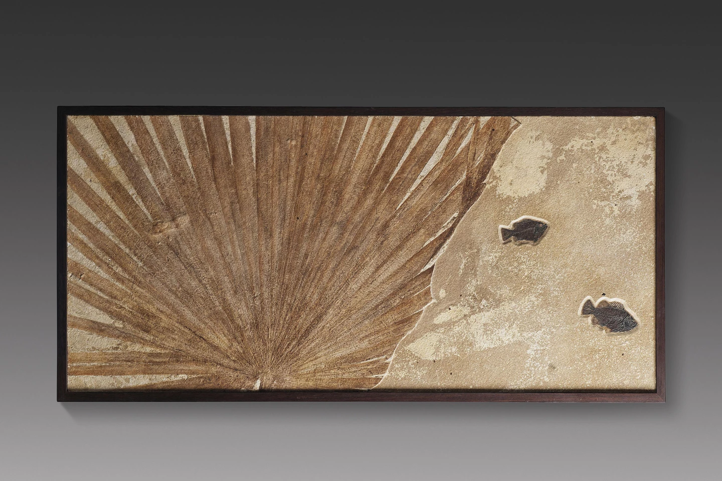 This 25½ x 52¼ inch (65 x 133 cm) wall hanging contains a 50 million-year-old fossil Sablites sp. palm leaf contrasted with two fossilised fish (a 5-inch and 4-inch Priscacara sp.) placed into a lower layer of the limestone block