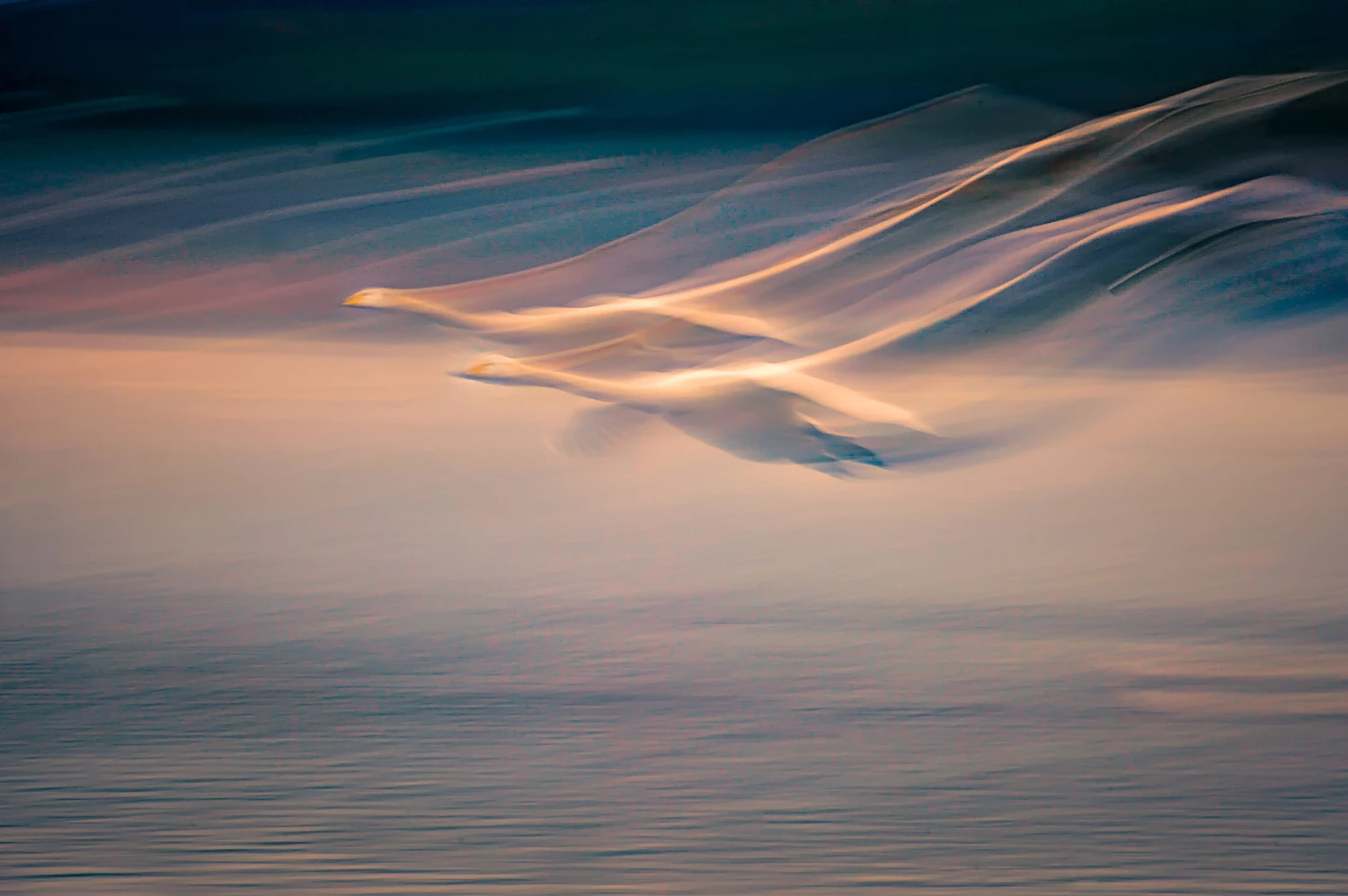 Bronze, Birds in Flight. Fairy Landing on Earth. Whooper Swan (Cygnus cygnus). Sanmenxia, Henan, China