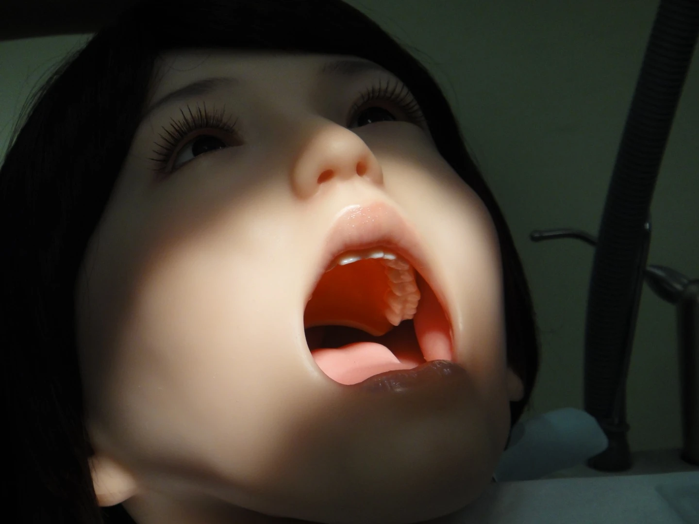 Robotic dental patient Showa Hanako 2 (Photo: DigInfo)