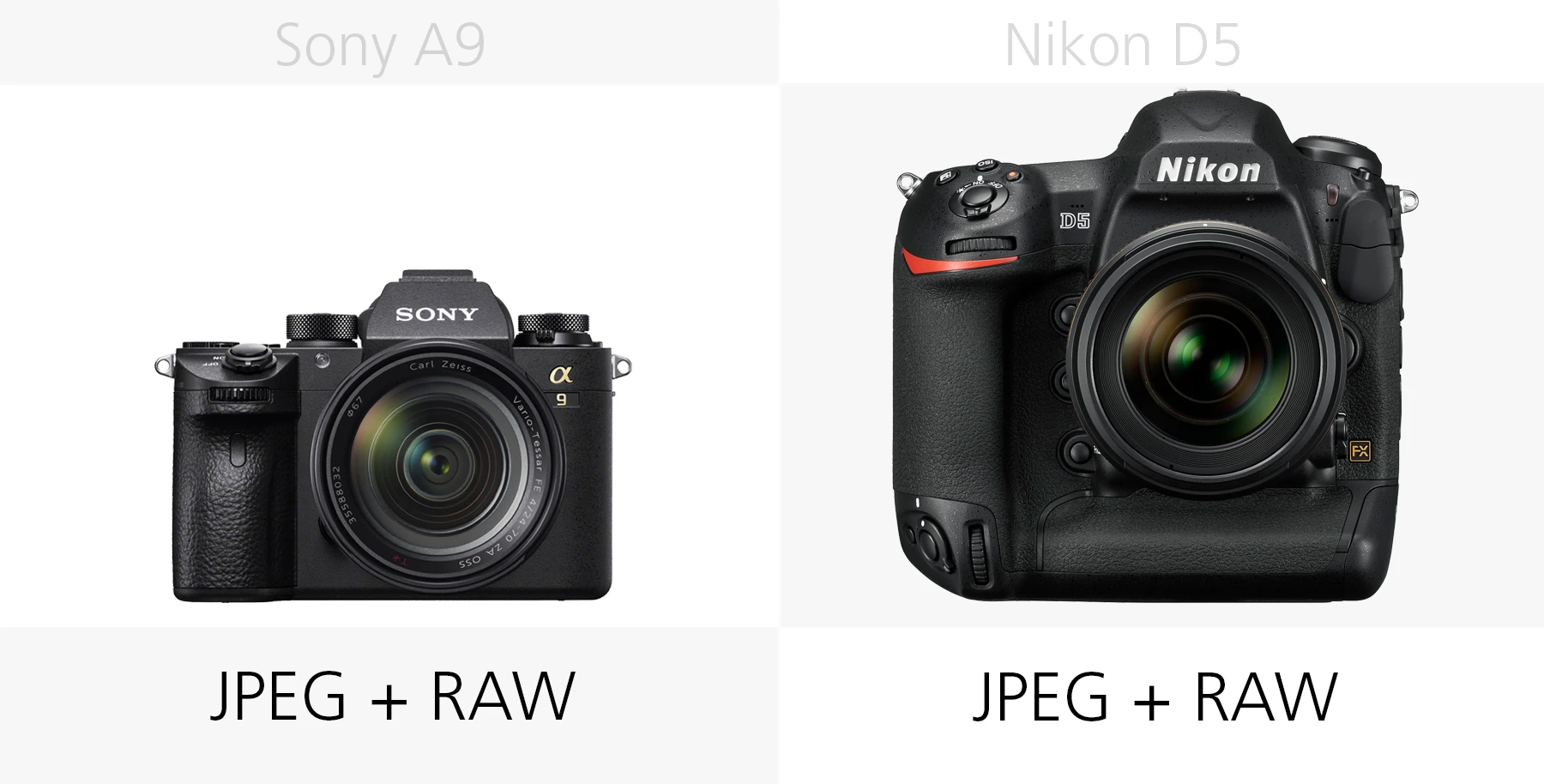 The photo filetypes of the Sony A9 and Nikon D5 compared