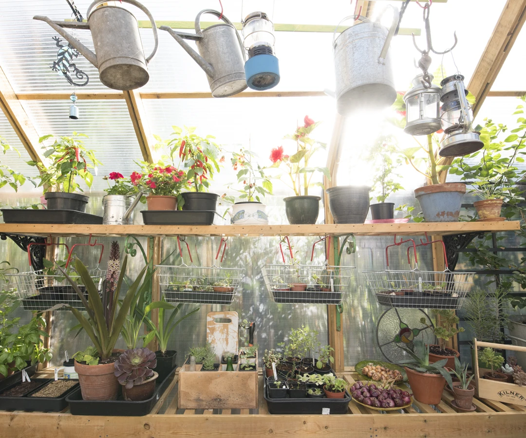 The Green House (Great Glass Propagator) was built to be used as both a summer house and a green house