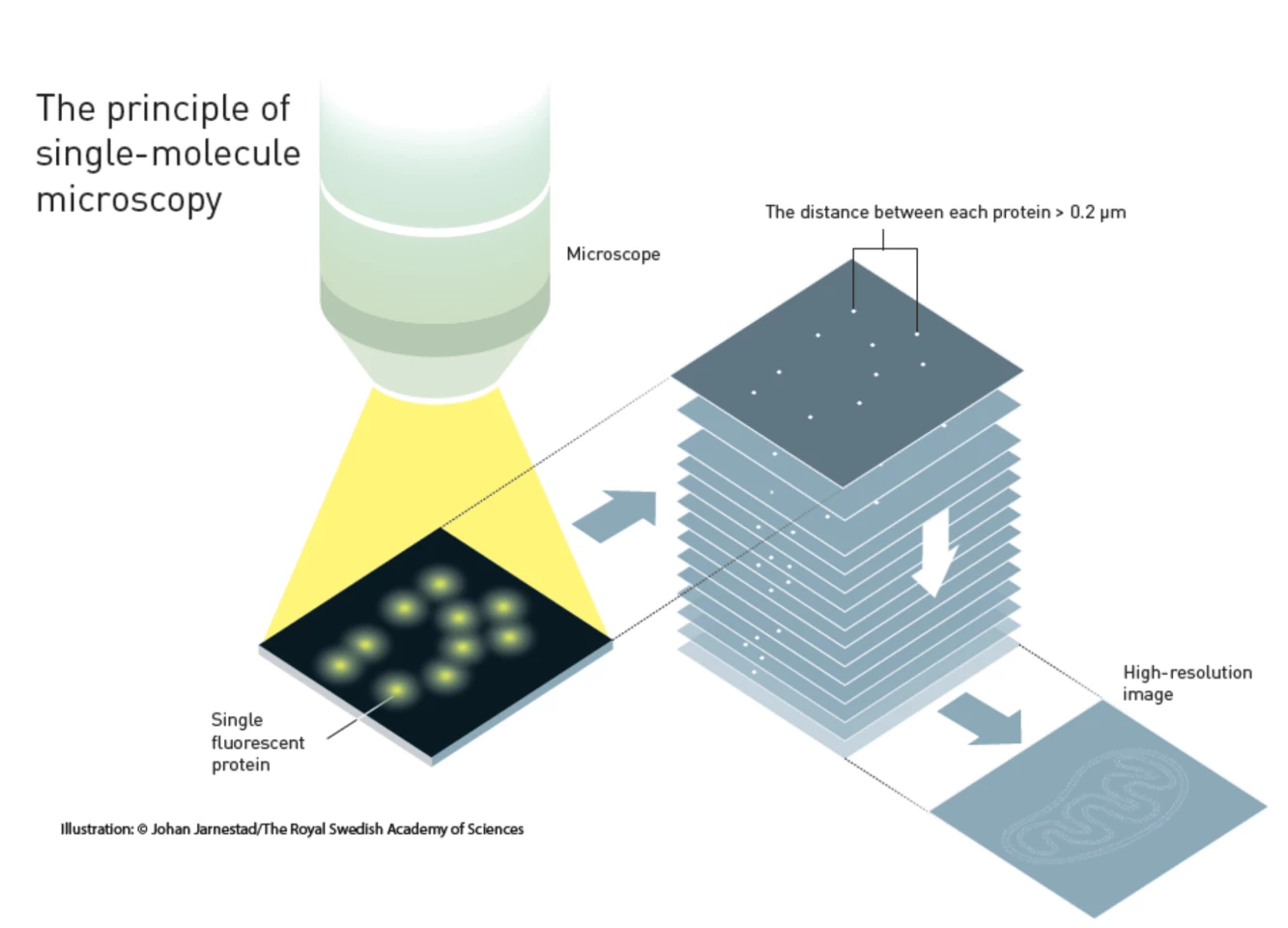 Diagram of single molecule microscopy