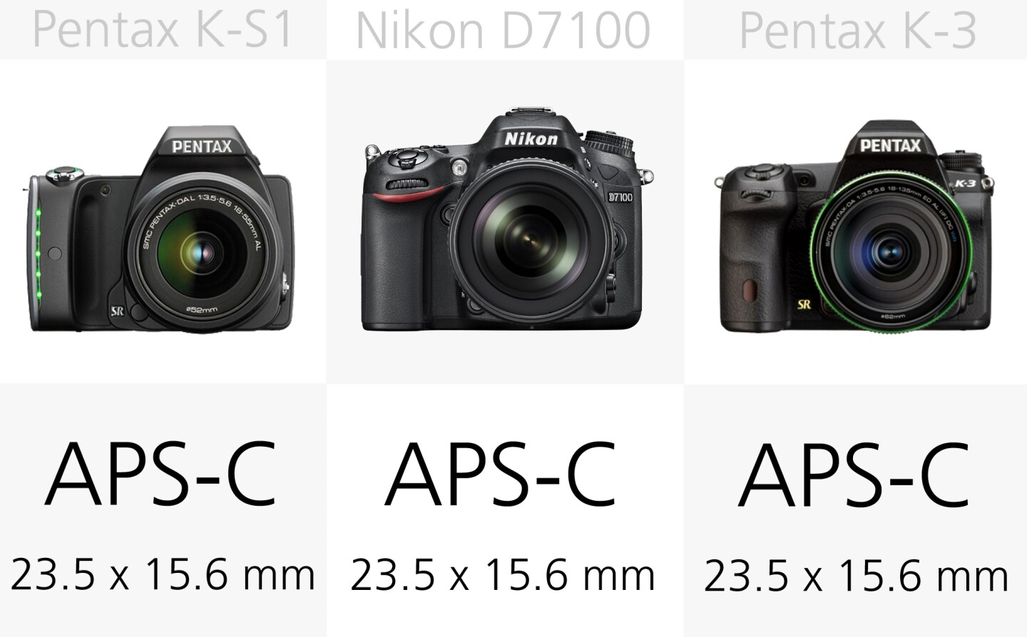 All of these DSLRs use APS-C size sensors