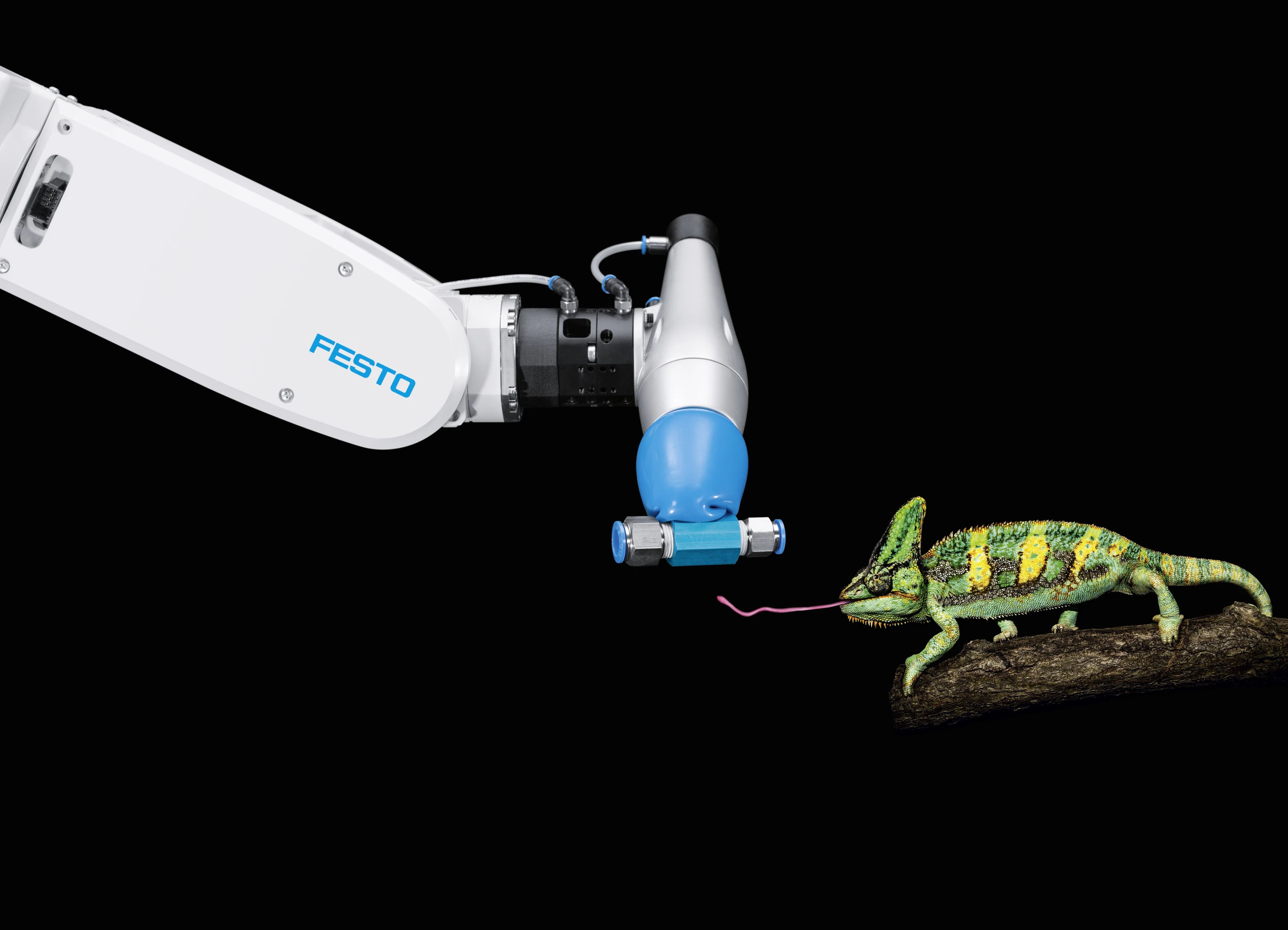 Festo has based its FlexShapeGripper on similar principles to the lizard's sticky tongue