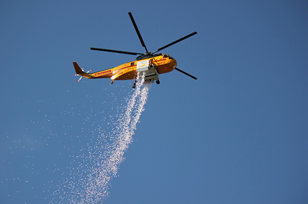 A helicopter drops two tons of pellets