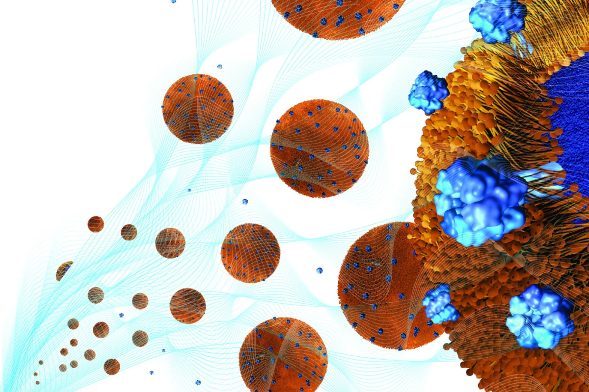 Toxin-absorbing nanoparticles are loaded into a holding gel to make a nanosponge-hydrogel, which can potentially treat local bacterial infections