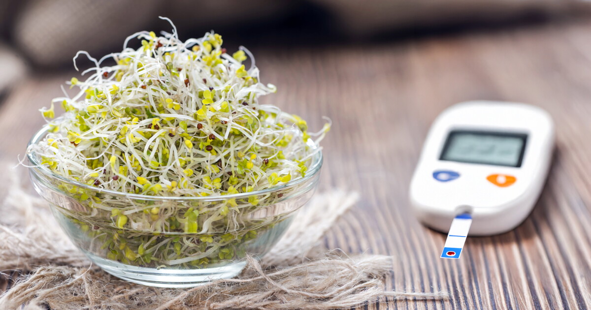 Broccoli sprout compound can help fend off type 2 diabetes