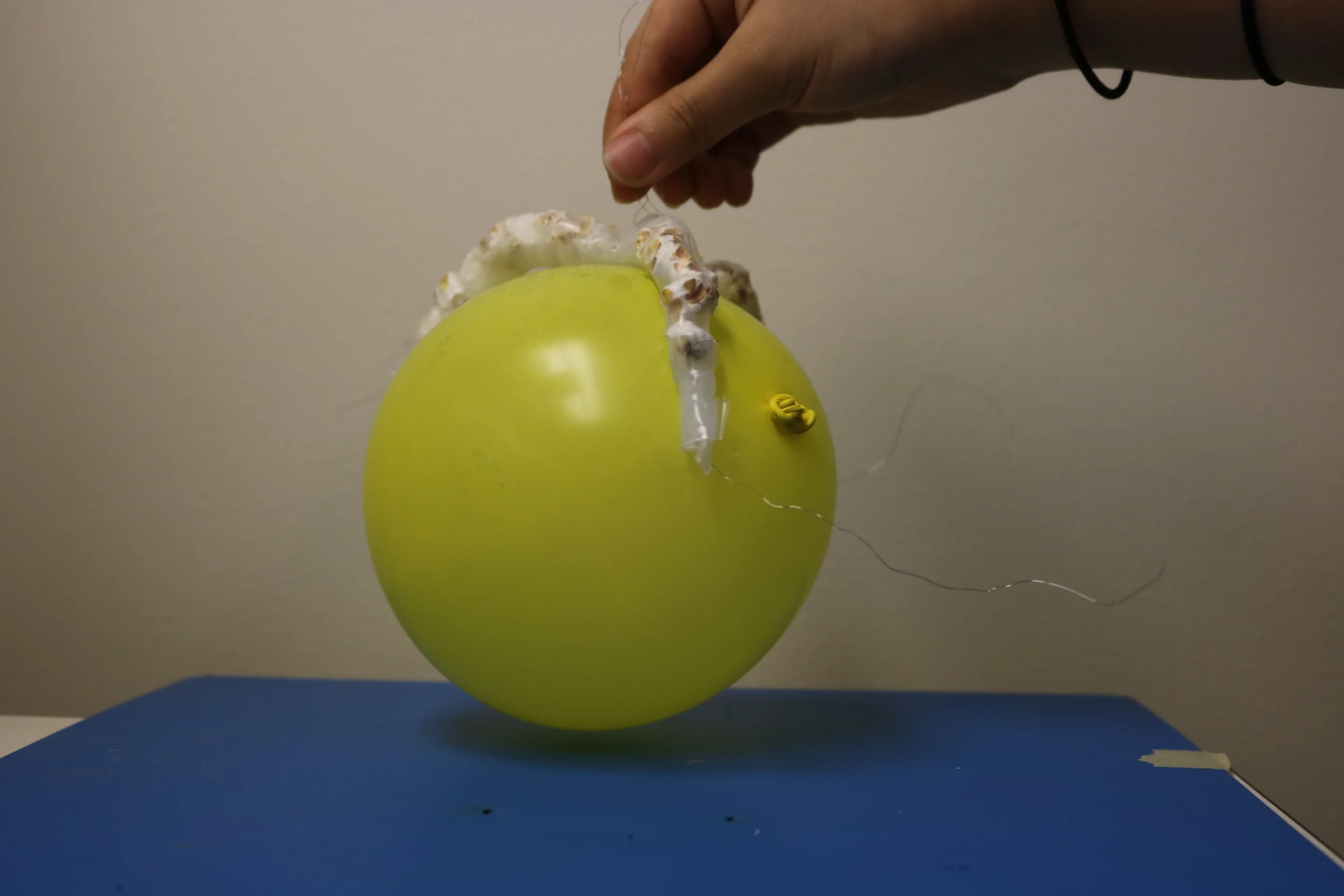 The popcorn-powered gripper grasps a balloon