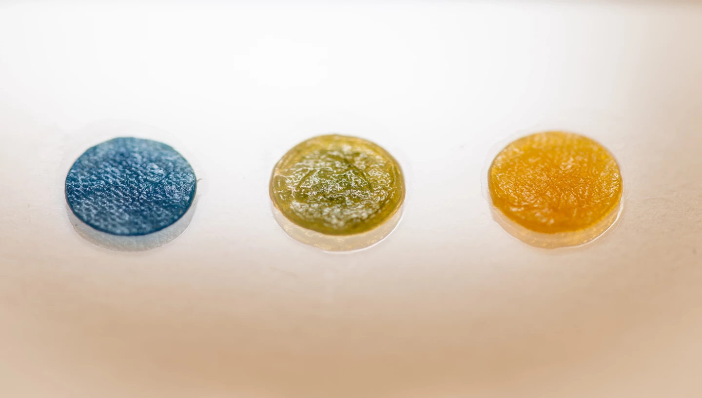 Examples of the dressing material in its blue, transitional and yellow states