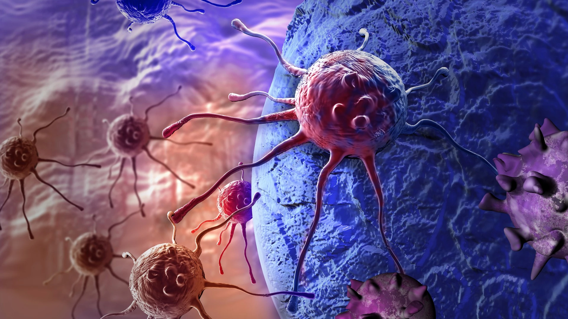 Two early-stage human clinical trials have successfully demonstrated the use of a cancer vaccine personalized to target an individual patient's tumors