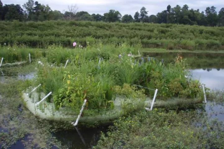 One of the BioHaven Floating Islands, from a previous project (Photo: Floating Island Southeast)
