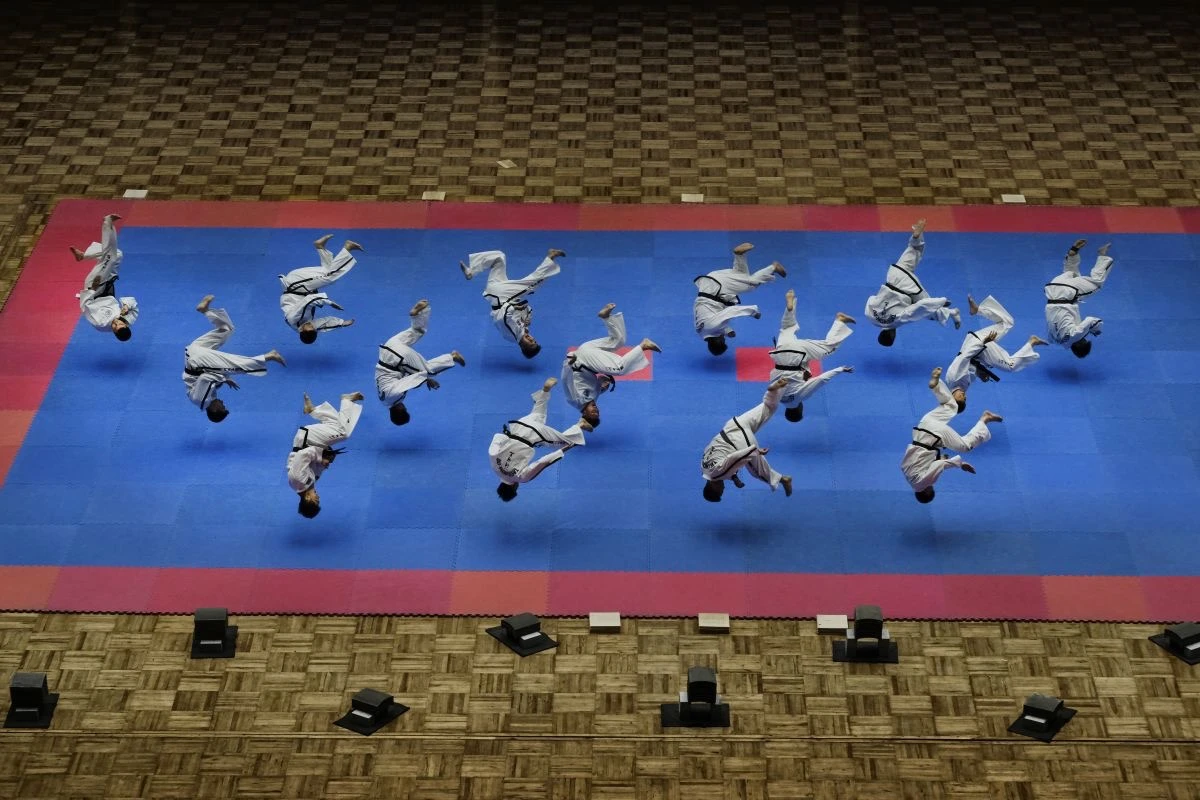 Alain Schroeder: Taekwondo North Korea Style - 1st Place in Sports, Professional