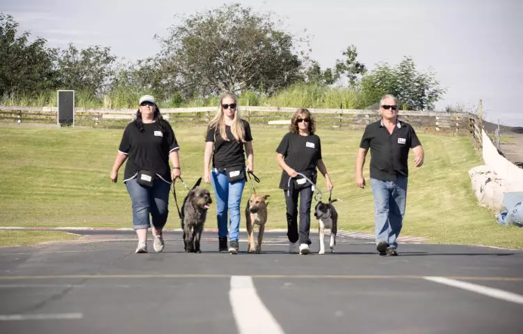 The trainers worked with the dogs for two months