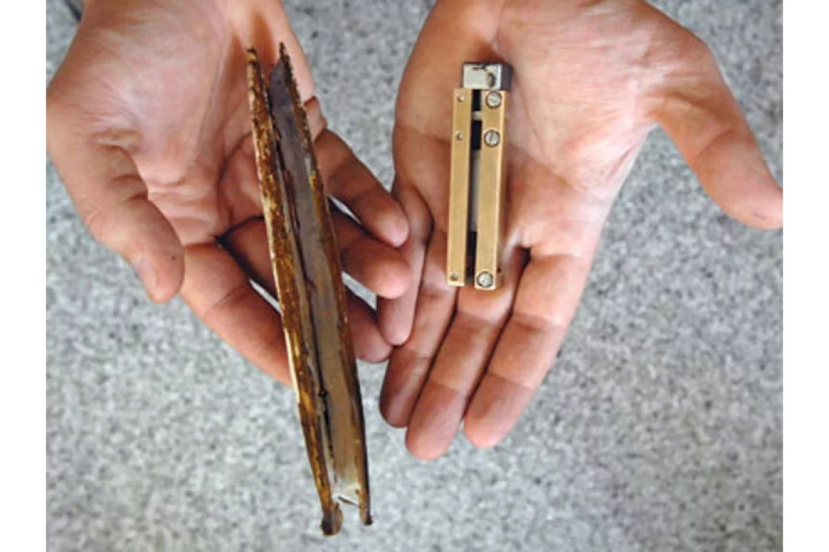 The RoboClam (right) and the razor clam which provided the inspiration for its design