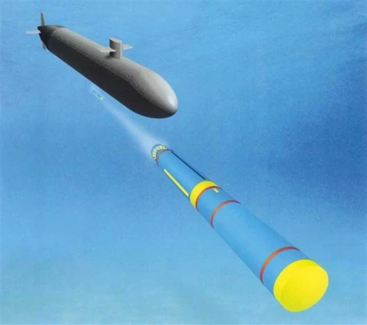 The Long-term Mine Reconnaissance System (LMRS) is a submarine-based mine reconnaissance system that will incorporate an unmanned underwater vehicle which will be launched and retrieved through submarine torpedo tubes.
