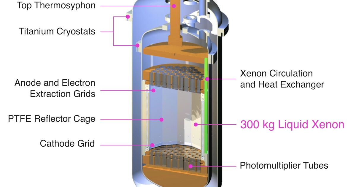 Null results from Large Underground Xenon (LUX) dark matter detector