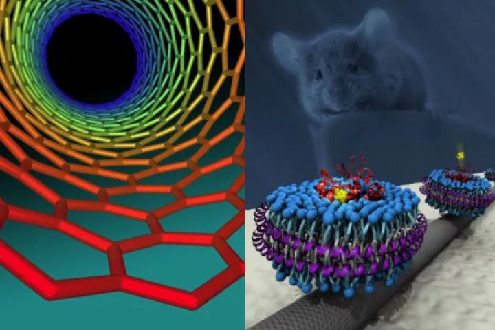 Scientists have grafted olfactory receptors onto carbon nanotubes, in a step towards producing electronic devices that can 'smell' (Image: Geoff Hutchison/Robert Johnson)