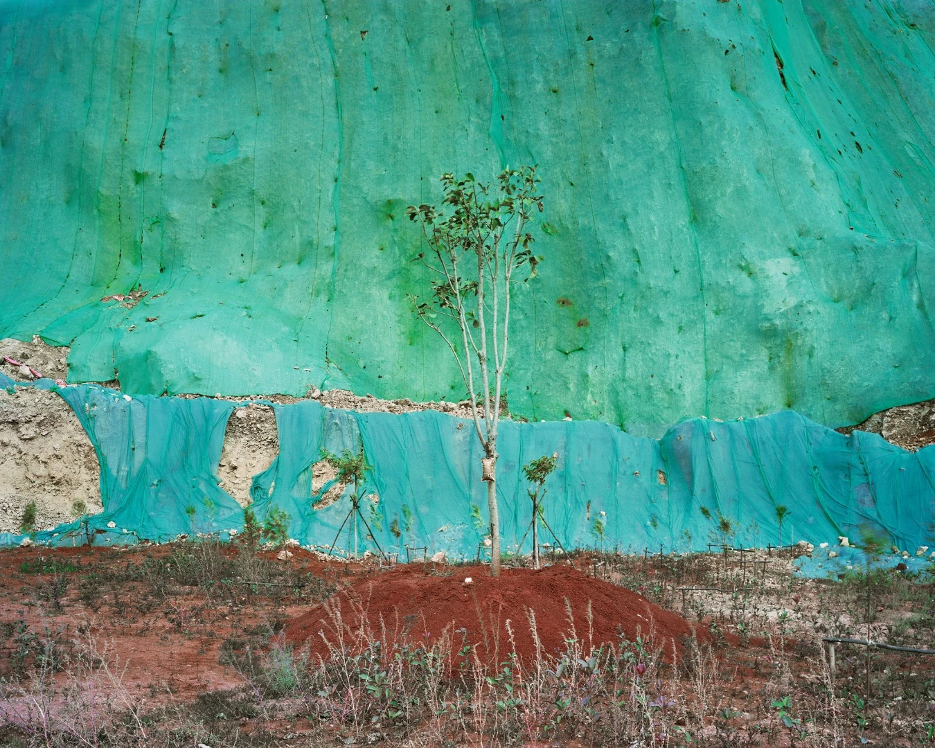 An image showing a detailed ecology recovery landscape. The background is a quarry face covered by green/cyan plastic netting. A young sapling stands in the center, supported by a bag of nutrition liquid and a pile of semi-artificial red soil