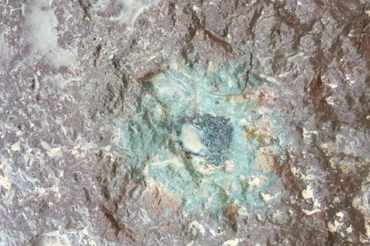 Ost 65 is the black fossil meteorite at the center of this image, embedded in slate in a Swedish quarry