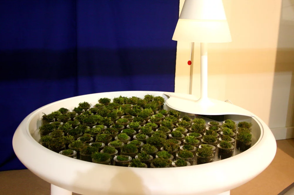 BPV technology is able to generate electricity by tapping into the photosynthesis of living organisms such as cyanobacteria, moss, algae and vascular plants (Photo: Bridget Borgoello/Gizmag)