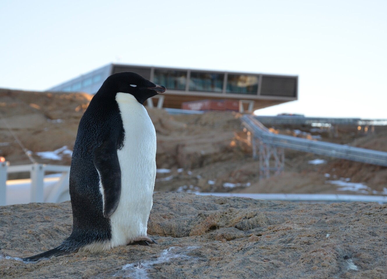 Despite the impressive engineering that went into building Bharathi, the locals seem unimpressed (Photo: bof artchitekten)