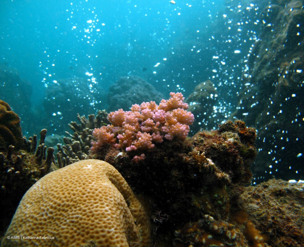 Mysterious volcanic gas bubbles give us a rare glimpse of the future