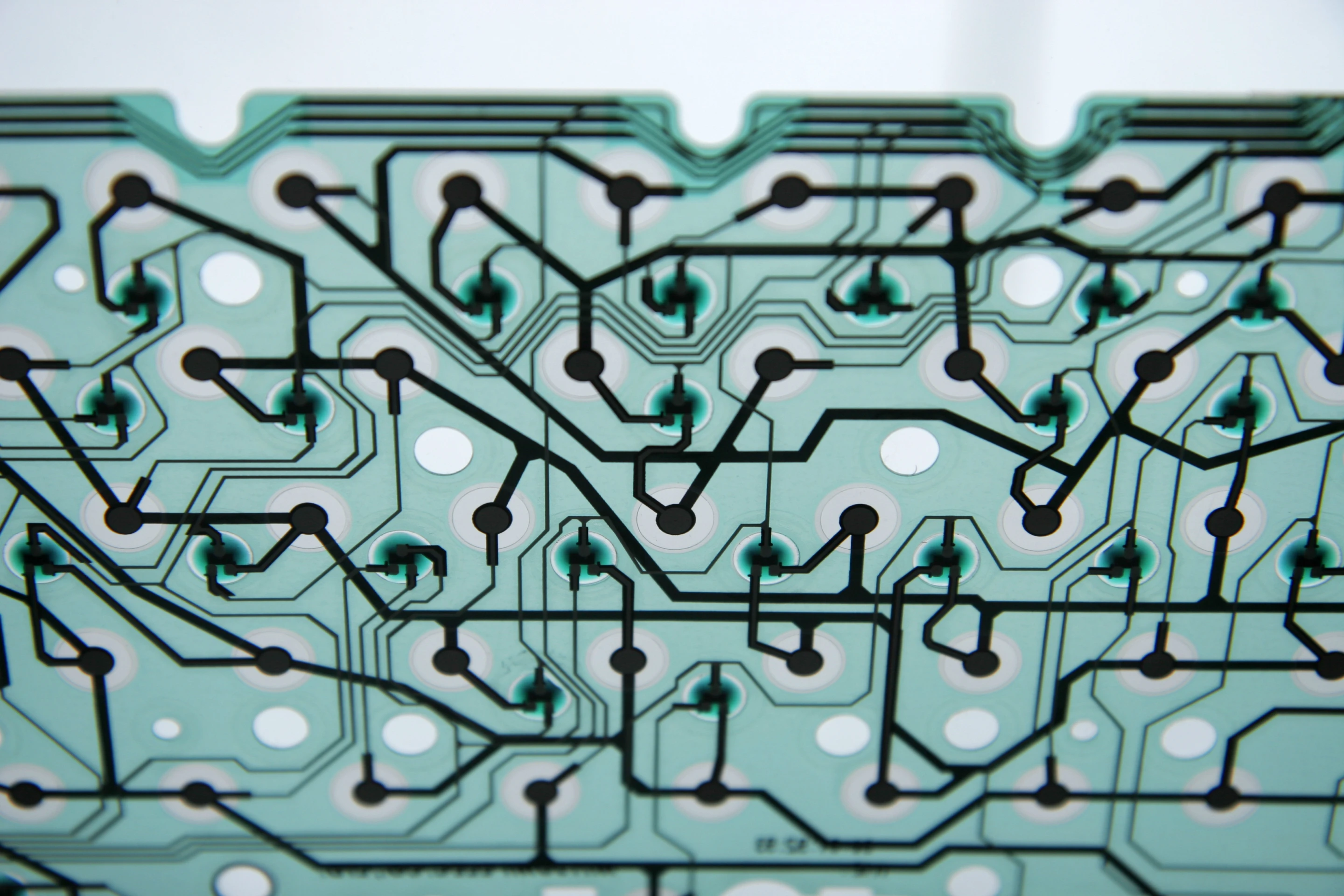 A flexible polymer circuit, shown here, could someday be replaced by a cheap and flexible paper circuit (Photo: Grant Hutchinson)