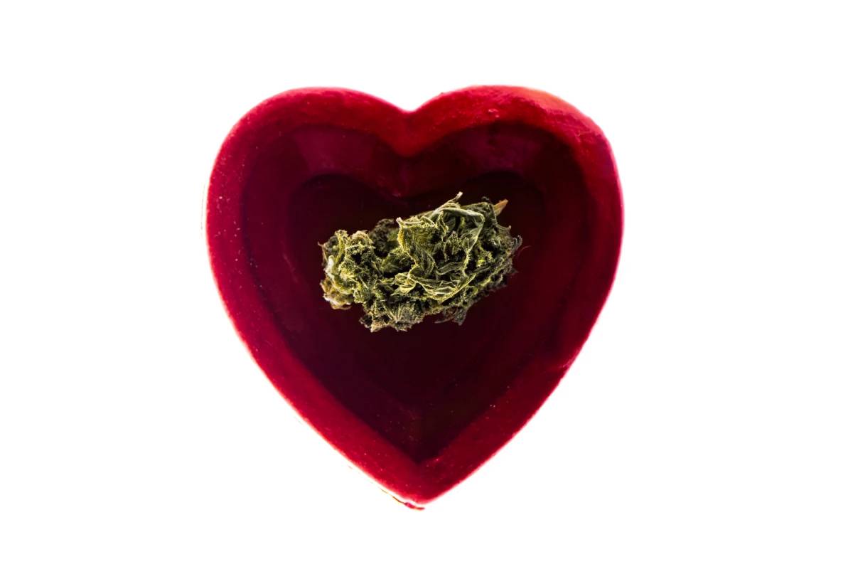 New research indicates THC may increase heart attack risk