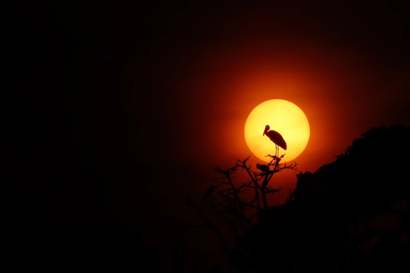 'Sunlight', Rajshahai University campus, Bangladesh