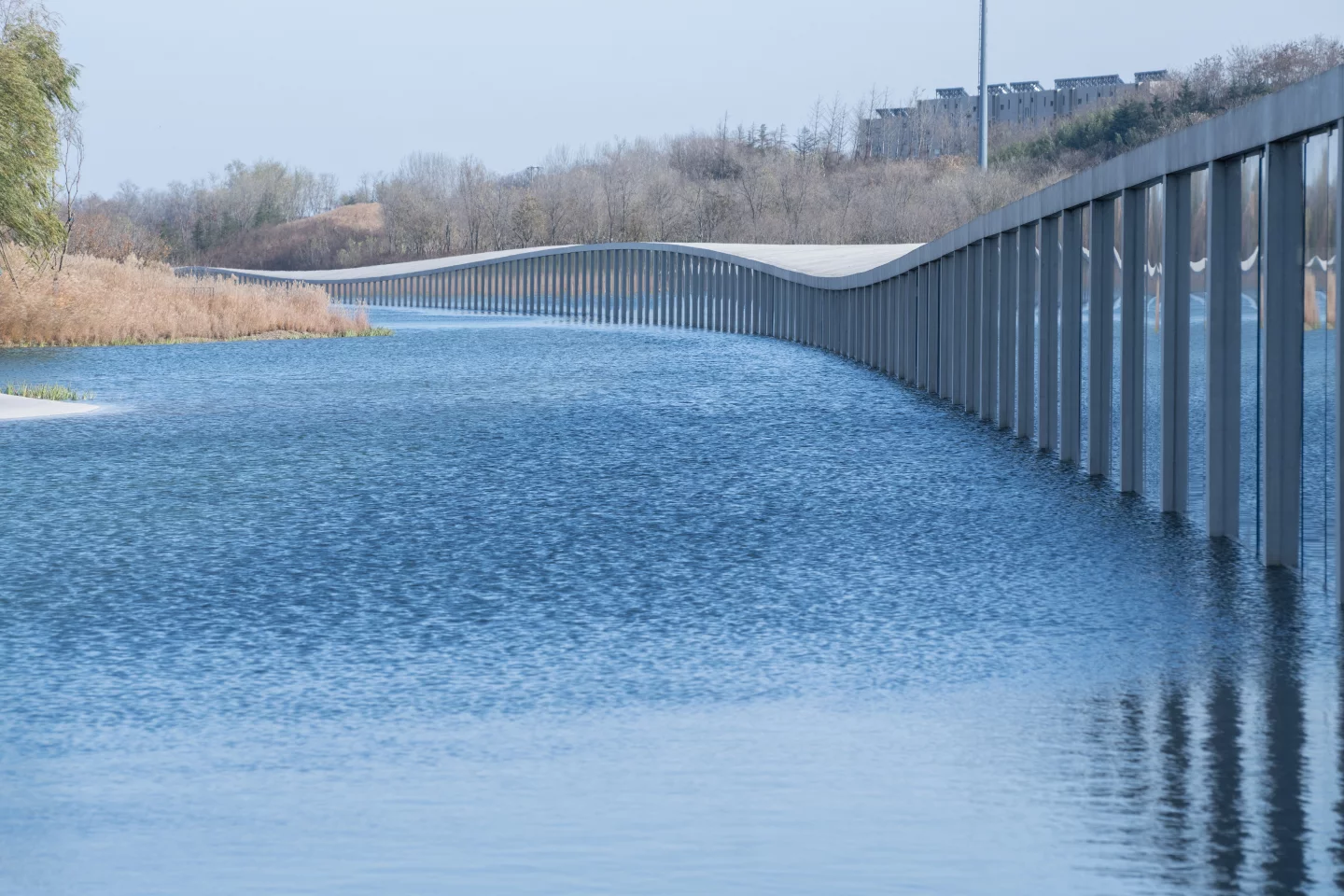 The Zaishui Art Museum's curving form is described as "gently gigantic" by designer Junya.ishigami+associates