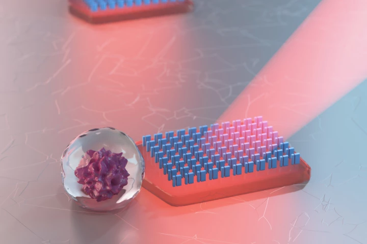 Each metavehicle measures just 10 micrometers wide by 1 micrometer thick – this one is pictured pushing a microscopic particle in front of itself, which could be one application for the technology