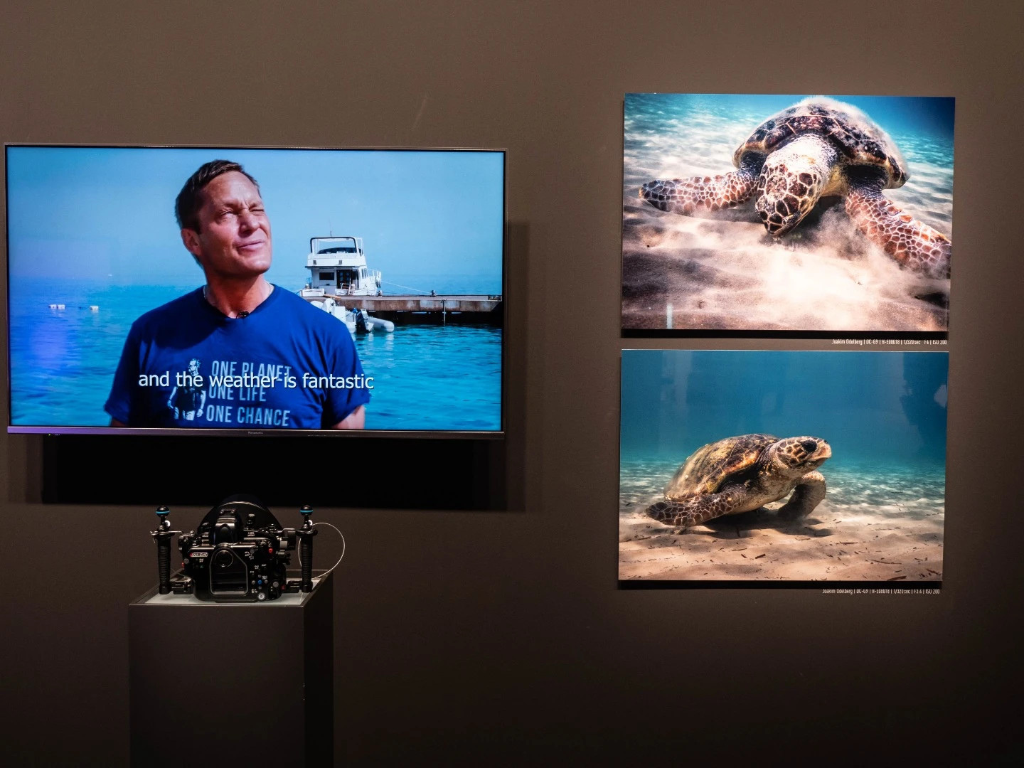 Underwater action with Panasonic's GH5