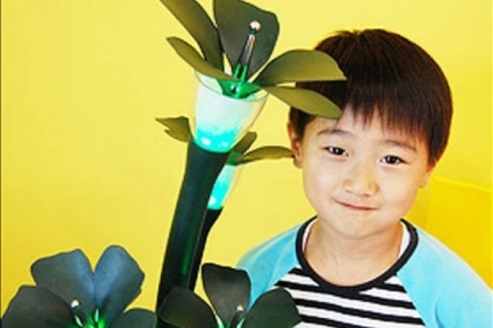 The robot plant