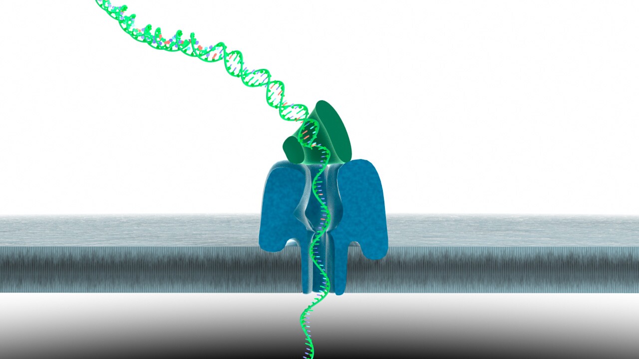 If a target molecule is drawn into or upon the nanopore, it disrupts the flow of ions in a characteristic manner which can be detected and interpreted (Image: Oxford Nanopore)
