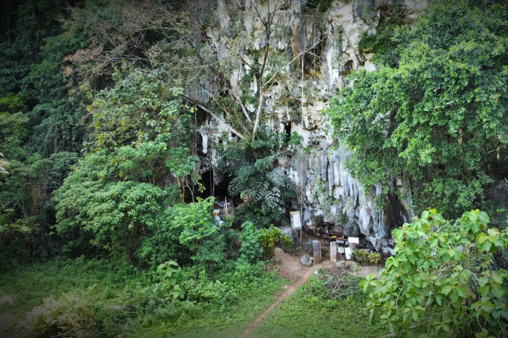 The entrance to Sulawesi's Leang Bulu Bettue cave, a treasure trove for archeologists
