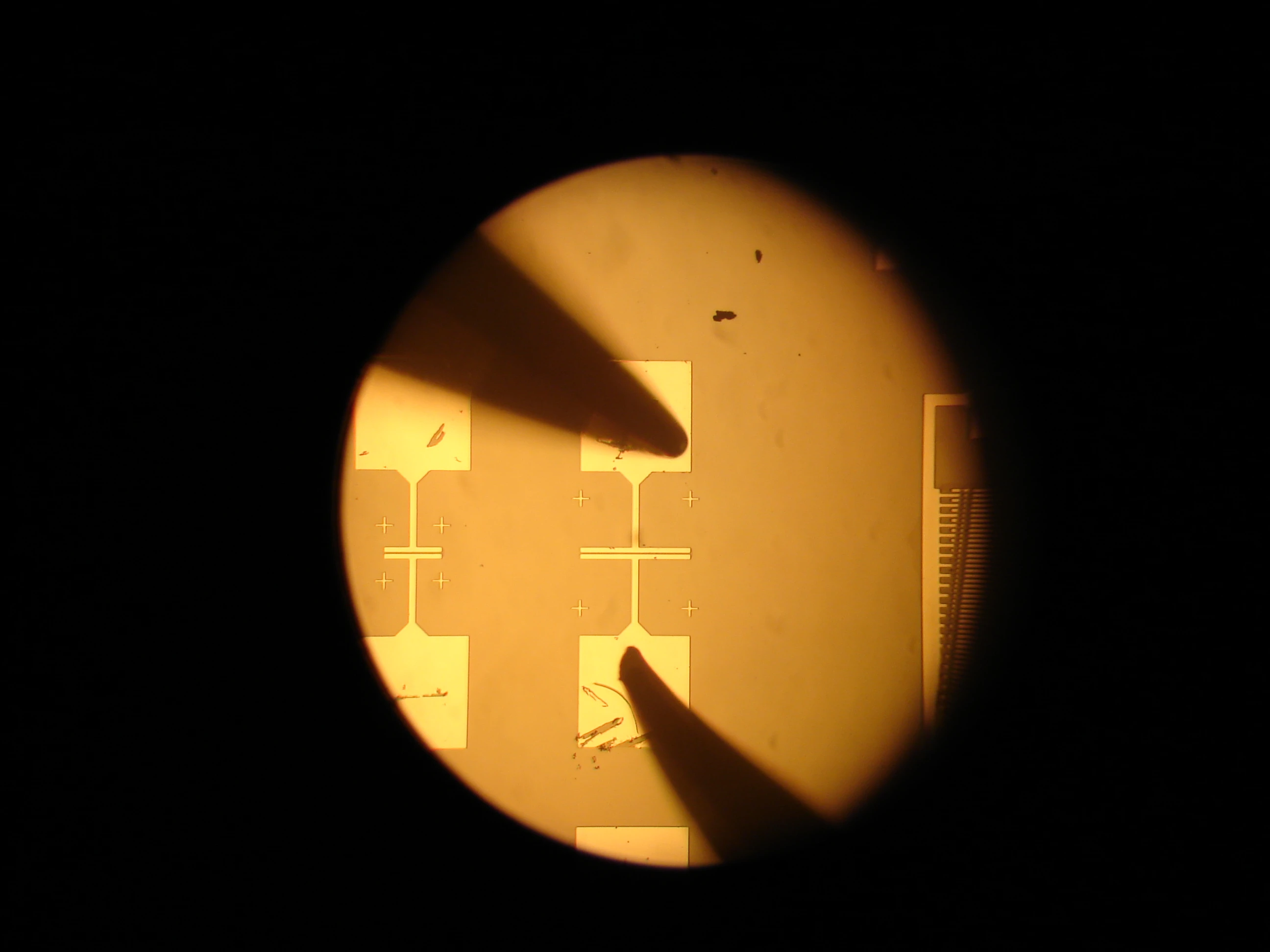 A microscopic view of the carbon nanotube field-effect transistor used in the fabricated synapse (Images courtesy USC)