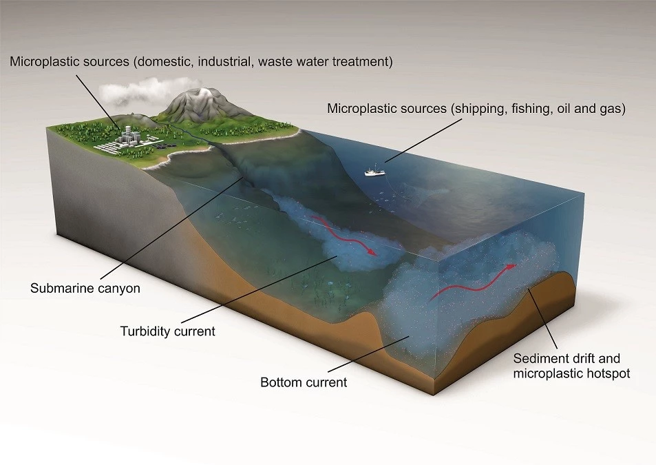 Scientists analyzing ocean currents and microplastic accumulation on the seafloor have gained new evidence of hotspots of pollution in the marine environment