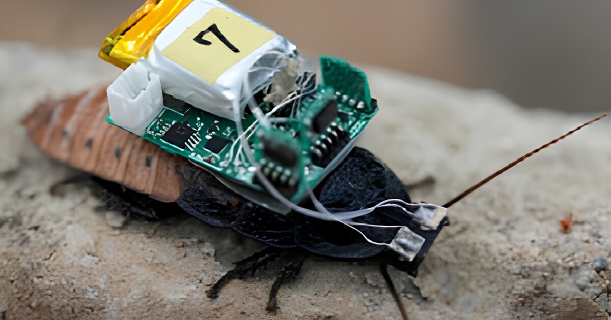 Cyborg cockroaches steered with tiny UV helmets