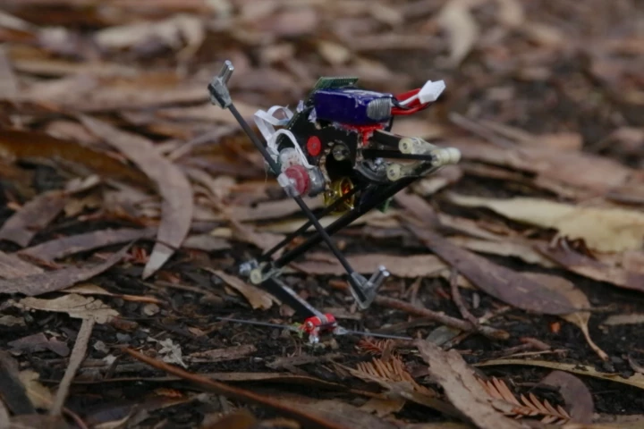 The SALTO robot can jump up to 1 meter